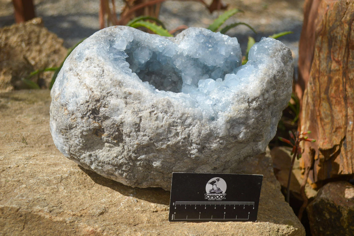 Natural Blue Celestite Geode Specimen  x 1 From Sakoany, Madagascar - Toprock Gemstones and Minerals 