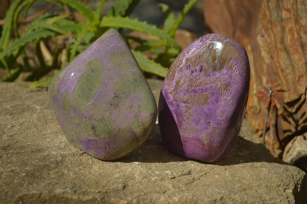 Polished Stichtite & Serpentine Standing Free Forms x 2 From Barberton, South Africa - Toprock Gemstones and Minerals 