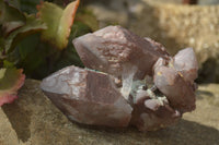 Natural Red Hematoid Quartz Specimens x 2 From Karoi, Zimbabwe - Toprock Gemstones and Minerals 