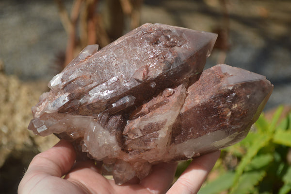 Natural Red Hematoid Quartz Specimens x 2 From Karoi, Zimbabwe - Toprock Gemstones and Minerals 