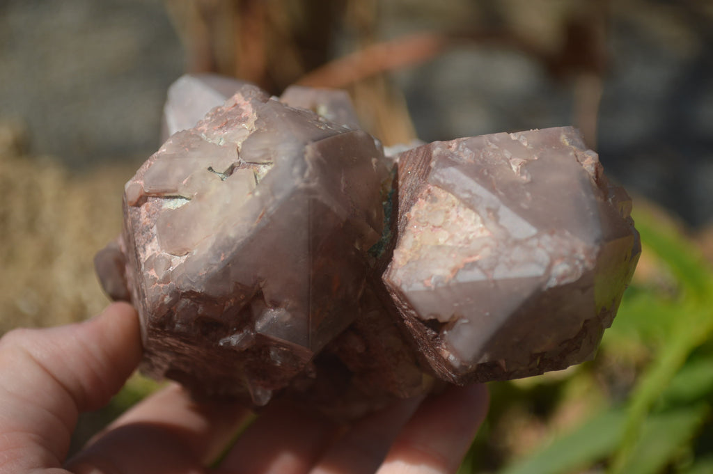Natural Red Hematoid Quartz Specimens x 2 From Karoi, Zimbabwe - Toprock Gemstones and Minerals 