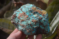Natural Shattuckite & Chrysocolla Rough Pieces x 9 From Kaokoveld, Namibia