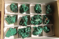 Natural Chatoyant Silky Malachite Specimens  x 12 From Kasompe, Congo - Toprock Gemstones and Minerals 