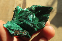 Natural Chatoyant Silky Malachite Specimens  x 12 From Kasompe, Congo - Toprock Gemstones and Minerals 