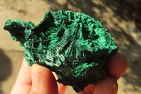 Natural Chatoyant Silky Malachite Specimens  x 12 From Kasompe, Congo - Toprock Gemstones and Minerals 