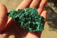 Natural Chatoyant Silky Malachite Specimens  x 12 From Kasompe, Congo - Toprock Gemstones and Minerals 