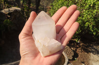 Natural Castle Quartz Crystals  x 12 From Madagascar - Toprock Gemstones and Minerals 