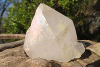 Natural Castle Quartz Crystals  x 12 From Madagascar - Toprock Gemstones and Minerals 