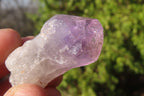 Natural Jacaranda Amethyst Crystals x 35 From Zambia - Toprock Gemstones and Minerals 