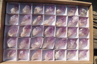 Natural Jacaranda Amethyst Crystals x 35 From Zambia - Toprock Gemstones and Minerals 