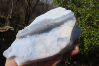 Natural Etched Blue Chalcedony Specimens  x 2 From Malawi - Toprock Gemstones and Minerals 