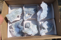Natural Etched Blue Chalcedony Specimens  x 6 From Malawi - Toprock Gemstones and Minerals 