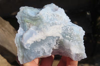 Natural Etched Blue Chalcedony Specimens  x 6 From Malawi - Toprock Gemstones and Minerals 