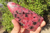 Polished Red Rhodonite Free Forms x 6 From Ambindavato, Madagascar - Toprock Gemstones and Minerals 