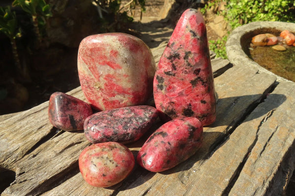 Polished Red Rhodonite Free Forms x 6 From Ambindavato, Madagascar - Toprock Gemstones and Minerals 