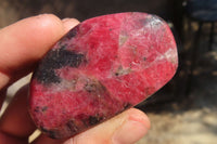 Polished Red Rhodonite Free Forms x 6 From Ambindavato, Madagascar - Toprock Gemstones and Minerals 