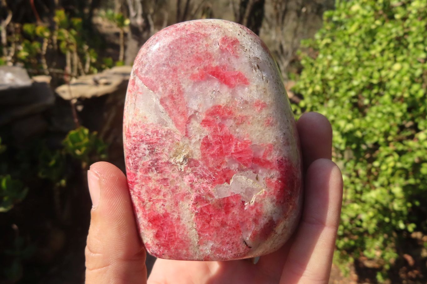 Polished Red Rhodonite Free Forms x 6 From Ambindavato, Madagascar - Toprock Gemstones and Minerals 
