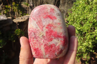Polished Red Rhodonite Free Forms x 6 From Ambindavato, Madagascar - Toprock Gemstones and Minerals 