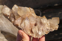 Natural Cascading Smokey Quartz Clusters x 2 From Luena, Congo - Toprock Gemstones and Minerals 