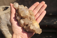 Natural Cascading Smokey Quartz Clusters x 2 From Luena, Congo - Toprock Gemstones and Minerals 