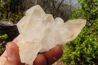 Natural Castle Quartz Crystal Specimens  x 12 From Madagascar - Toprock Gemstones and Minerals 