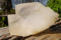 Natural Castle Quartz Crystal Specimens  x 12 From Madagascar - Toprock Gemstones and Minerals 