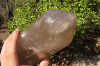 Polished Extra Large Smokey Quartz Point  x 1 From Madagascar - Toprock Gemstones and Minerals 