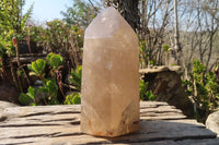 Polished Extra Large Smokey Quartz Point  x 1 From Madagascar - Toprock Gemstones and Minerals 