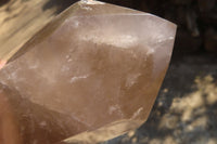 Polished Extra Large Smokey Quartz Point  x 1 From Madagascar - Toprock Gemstones and Minerals 