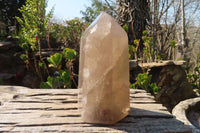 Polished Extra Large Smokey Quartz Point  x 1 From Madagascar - Toprock Gemstones and Minerals 