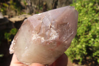 Natural Red Hematoid Quartz Specimens x 12 From Karoi, Zimbabwe - Toprock Gemstones and Minerals 