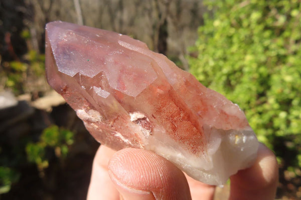 Natural Red Hematoid Quartz Specimens x 12 From Karoi, Zimbabwe - Toprock Gemstones and Minerals 