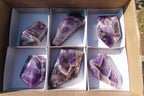 Polished Chevron Amethyst Points x 6 From Zambia - Toprock Gemstones and Minerals 