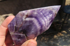 Polished Chevron Amethyst Points x 6 From Zambia - Toprock Gemstones and Minerals 