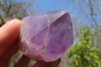 Polished Jacaranda Amethyst Crystals x 12 From Zambia - Toprock Gemstones and Minerals 