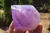 Polished Jacaranda Amethyst Crystals x 12 From Zambia - Toprock Gemstones and Minerals 