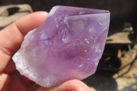 Polished Jacaranda Amethyst Crystals x 12 From Zambia - Toprock Gemstones and Minerals 