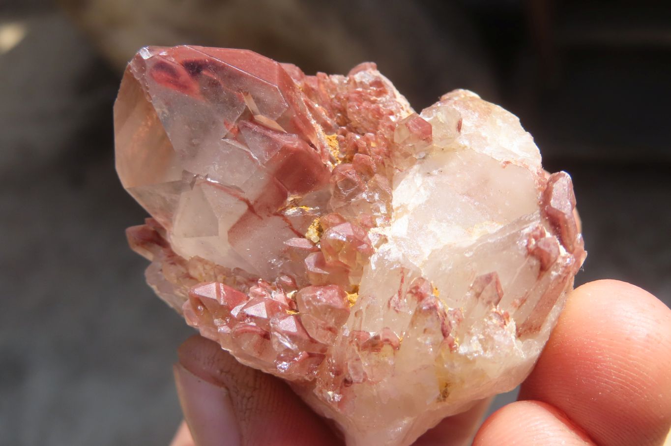 Natural Red Hematite Quartz Specimens  x 24 From Karoi, Zimbabwe - Toprock Gemstones and Minerals 