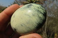 Polished Leopard Stone Gallets  x 6 From Inyanga, Zimbabwe - Toprock Gemstones and Minerals 