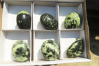 Polished Leopard Stone Gallets  x 6 From Inyanga, Zimbabwe - Toprock Gemstones and Minerals 