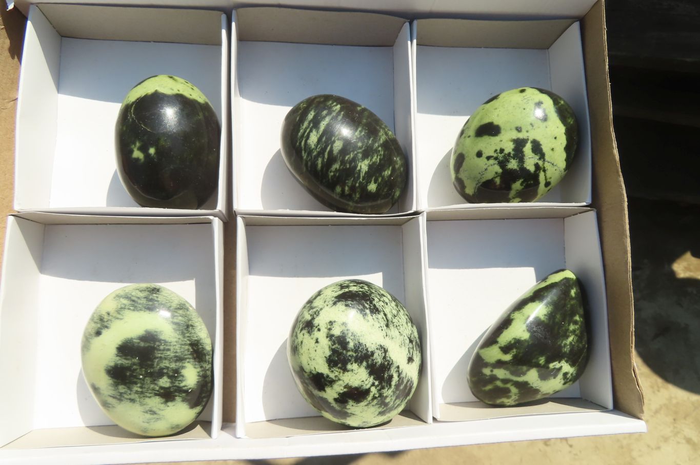 Polished Leopard Stone Gallets  x 6 From Inyanga, Zimbabwe - Toprock Gemstones and Minerals 