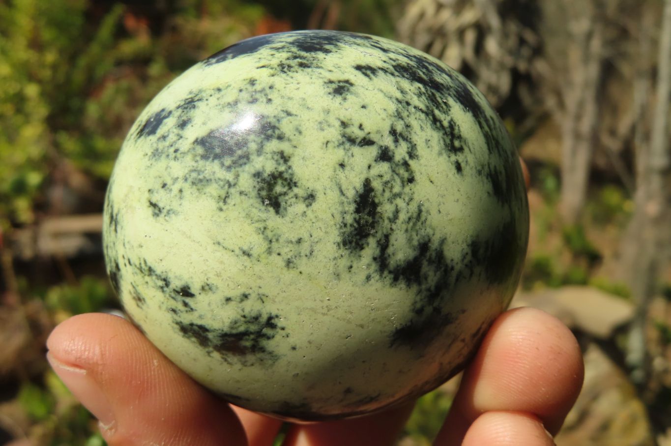 Polished Leopard Stone Gallets  x 6 From Inyanga, Zimbabwe - Toprock Gemstones and Minerals 