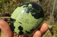 Polished Leopard Stone Gallets  x 6 From Inyanga, Zimbabwe - Toprock Gemstones and Minerals 