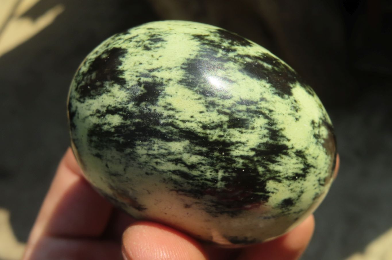 Polished Leopard Stone Gallets  x 6 From Inyanga, Zimbabwe - Toprock Gemstones and Minerals 