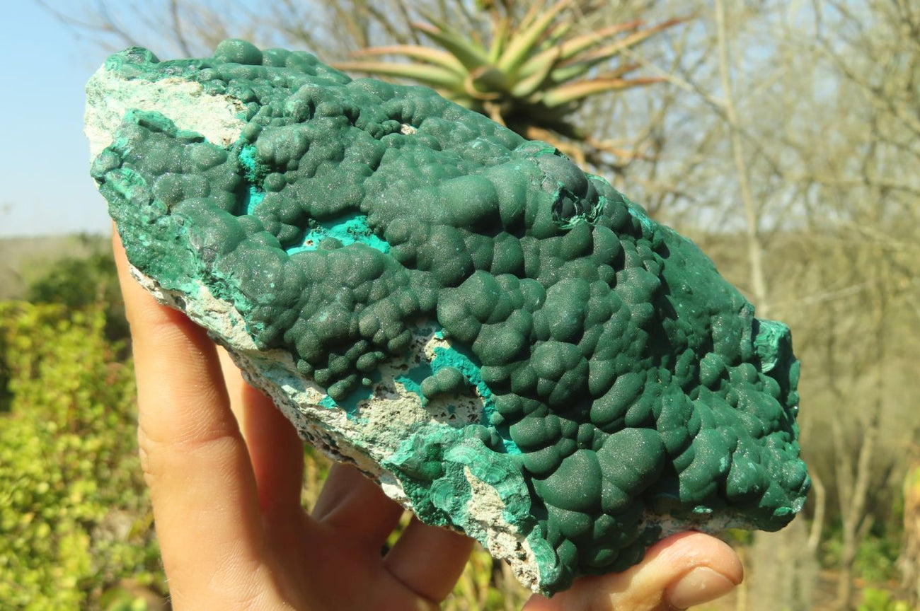 Natural Botryoidal Malachite Specimens x 2 From Congo