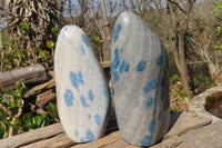 Polished Blue Spotted Spinel Quartz Standing Free Forms x 2 From Madagascar - Toprock Gemstones and Minerals 