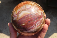 Polished Petrified Wood Sphere  x 1 From Mahajanga, Madagascar - Toprock Gemstones and Minerals 