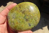 Polished Green Opal Standing Free Forms  x 6 From Madagascar - Toprock Gemstones and Minerals 