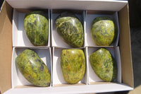 Polished Green Opal Standing Free Forms  x 6 From Madagascar - Toprock Gemstones and Minerals 