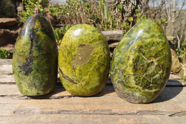 Polished Green Opal Standing Free Forms  x 6 From Madagascar - Toprock Gemstones and Minerals 